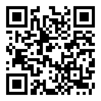 BitAssetذװ