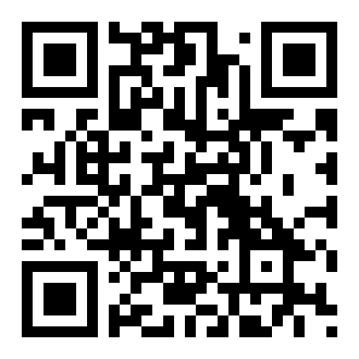 伪app