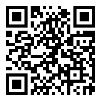 Է v4.0.2̬
