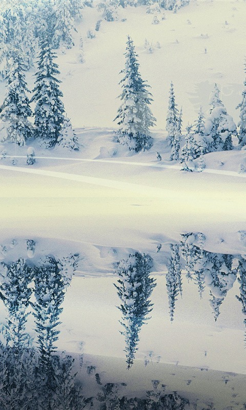 唯美湖面雪景手机壁纸