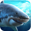 真实模拟鲨鱼捕食游戏下载 真实模拟鲨