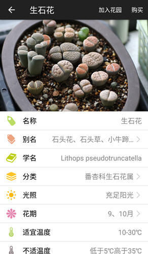 ݼ¼ֲapp