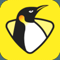 企鹅体育下载安装-企鹅体育直播APPv7.1