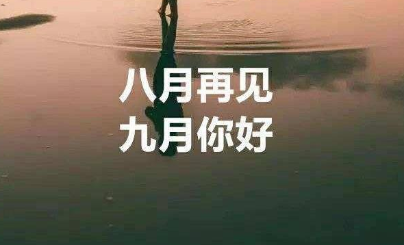 1630380070547628.png image.png