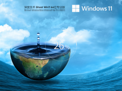 win11ϵͳרҵ-win11΢ٷ(Կ)64λ ü