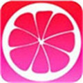 蜜柚app免费版下载-蜜柚直播软件绿色版  安卓手机版
