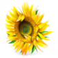 ϷŰרҵѰ-ϷŰרҵɫƽذװv7.3.1.0