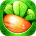 ܲ1ٷϷ-ܲ1׿v2.0.4