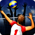 ׿-Volleyball Champi