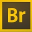 adobe bridge_adobe bridge202