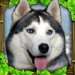 ˹ģ(Stray Dog Sim)-Stray Dog SimϷv1.4