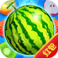 Сйapp-Сйapp202