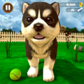 Сģ(Virtual Puppy Simulator)׿-Virtual Puppy Simulato