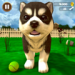 虚拟小狗模拟器(Virtual Puppy Simulator)安卓版下载-Virtual Pu