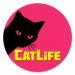 è(CatLife)°-è