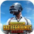 ʷֻ_pubgmobile°v1.4.0