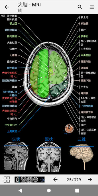 e-Anatomy׿