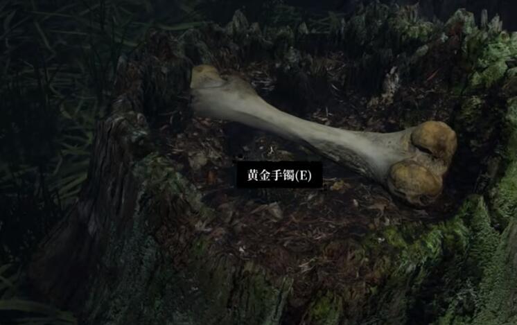 ɰԹ弶ƽ