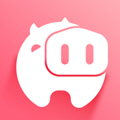 小猪app手机概念版下载-小猪app手机最