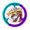 ڴħİ-ڴְ׿ֻv2.4