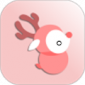 WakeUpγ̱׿-WakeUpγ̱APPV6.0.08