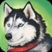 dog simulator animal lifeϷ-do