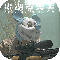 ƽBan 򺺻׿v3.62