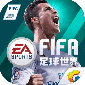 FIFA FIFA޵ȯ