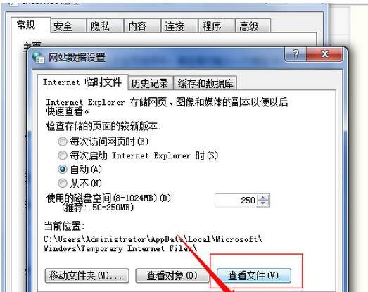 f-Internet选项