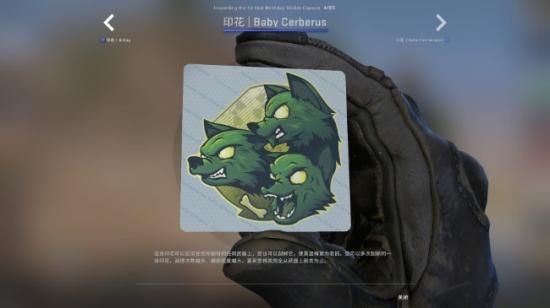 csgoʮ꽺ôãcsgoʮ꽺ʲô[ͼ]ͼƬ3