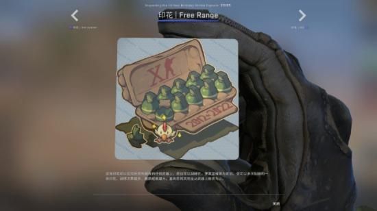 csgoʮ꽺ôãcsgoʮ꽺ʲô[ͼ]ͼƬ7