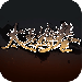 ̫_̫ʽ̰