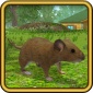 ģİƽBan޽Ұ  ģϷ̬v3.14