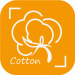 棉花视频免费下载-棉花视频app下载v1.0.1 安卓最新版