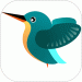 kingfisher-kingfisher