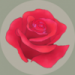 玫瑰花园外挂软件破解免费下载安装 玫瑰花园外挂软件电脑pc去广