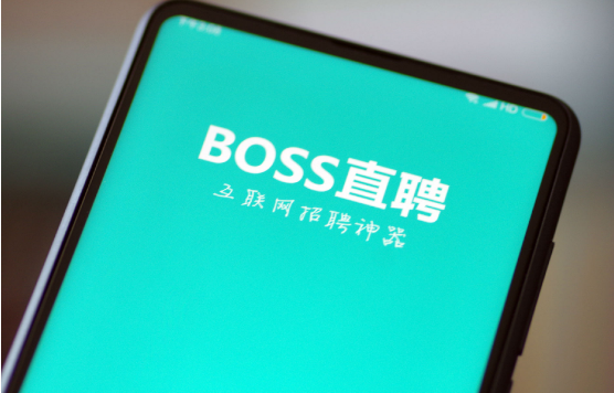 bossֱƸôѯͷ_bossֱƸ˹ͷѯ[ͼ]