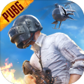 zoloͷ-zoloͷpubgֱװv2.6