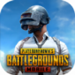 ɥʬԵʷ_pubgmobile2.8ɥʬģʽٷv2.8.0