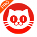 猫眼票房专业版实时版免费下载_猫眼票房app手机版下载v7.2.0
