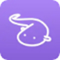 app-appv0.0.50