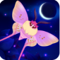 ֮ҹStarlightİ_֮ҹ°