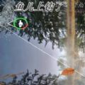 ޵ʦٷ2024°_޵ʦϷֻv1.0
