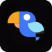 app޹_ֻv3.1