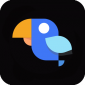 app޹_ֻv3.1