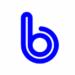 bitappѰ2024  bit