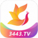 Ӱӹ2024_Ӱӹappٷ°v3.0.6