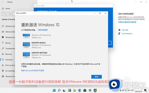 绰win11רҵϵͳ̳_绰win11רҵϵͳ
