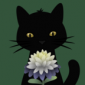 ԰հ׿İֻ_԰Ϸ°v1.1.591