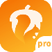 proٷ_Ѱv1.4.0